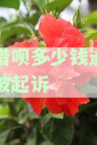 支付宝逾期还款金额及起诉冻结财产相关问题解答