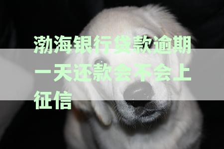 逾期一天还款：渤海银行贷款是否会影响信用记录并上征信报告？