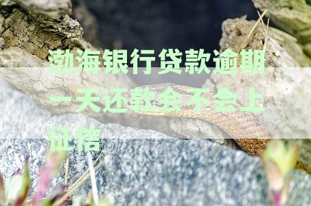 渤海银行贷款逾期：影响、征信记录与解决方法全面解析
