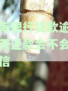信用卡还款逾期导致渤海银行贷款每月额外增加1万，原因何在？如何解决？
