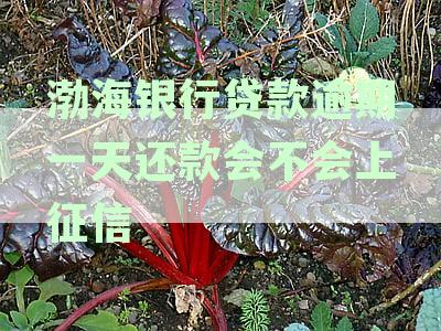 渤海银行贷款逾期一天还款会不会上征信