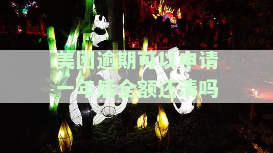 美团逾期一年后全额还清申请可行吗？