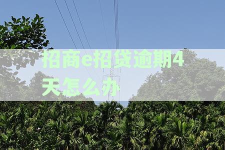 招商e招贷逾期4天怎么办