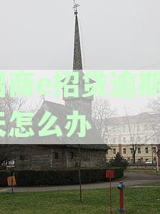 招商银行e招贷逾期解决方案：如何应对、影响及恢复信用？