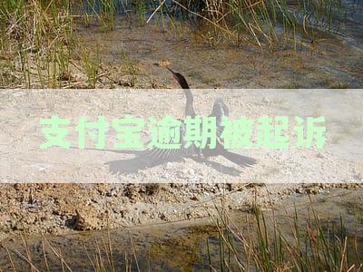支付宝逾期被起诉了还是没钱还怎么办？ - 逾期还款处理方法
