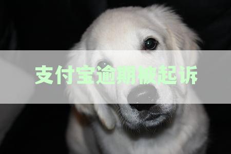 支付宝逾期款纠纷一般在当地法院审理吗？