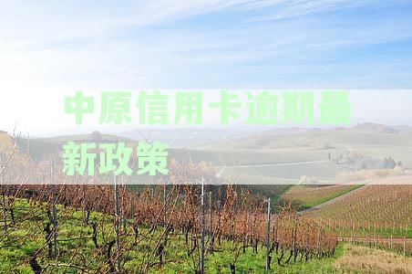 关于中原银行信用卡逾期的还款协商指南 - 如何处理逾期还款问题