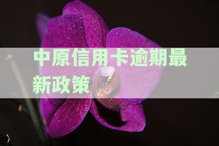 中原信用卡逾期最新政策