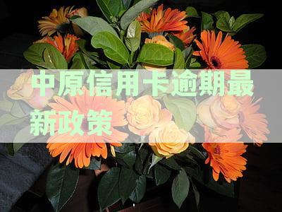 中原信用卡逾期最新政策