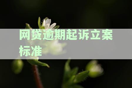 全面了解网贷逾期起诉立案标准及其影响：多久后会被起诉？如何应对？