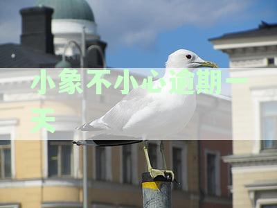 小象逾期一天上征信吗？会影响以后的使用和借款吗？