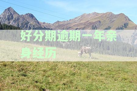 逾期后还能再借吗：逾期后果及解决办法