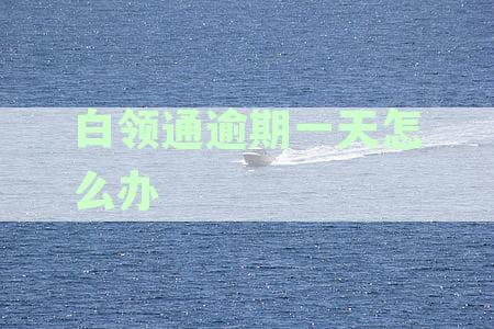 白领通逾期一天怎么办