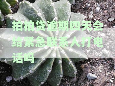 拍拍贷逾期四天：是否会通知紧急联系人？逾期后果及如何处理？