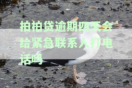 拍拍贷逾期四天会给紧急联系人打电话吗是真的吗？