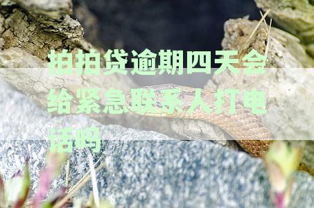 拍拍贷逾期四天：紧急联系人会接到电话吗？是否安全？