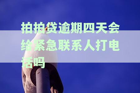 拍拍贷逾期3天：是否会联系紧急联系人？还款后果如何，如何避免？