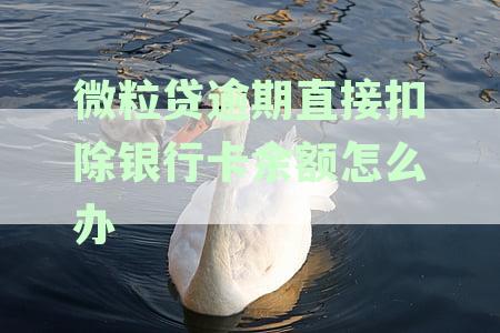 微粒贷逾期会自动扣除绑定微信钱包的银行卡里的钱吗？