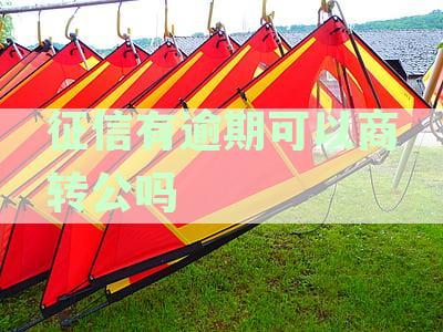 征信逾期能商贷吗？征信有逾期可以商业贷款买房吗？