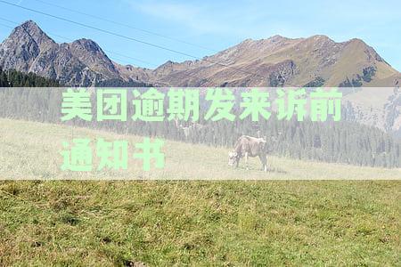 美团逾期发来诉前通知书