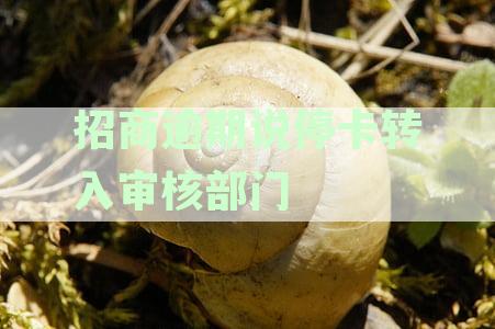 招商银行信用卡逾期停卡转入审核部门是真的吗？