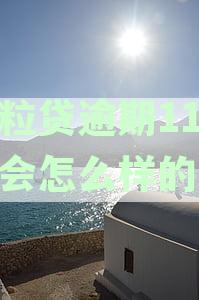 微粒贷逾期十来天会怎么样：处理方式与可能影响