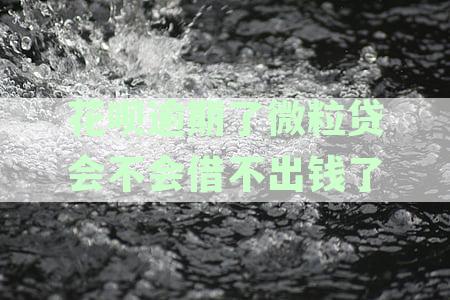花呗逾期对微粒贷的影响及解决方案：是否会导致无法借款？