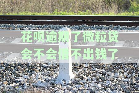 逾期还款后，支付宝的借呗、花呗和微粒贷功能是否受限？如何解决这些问题？