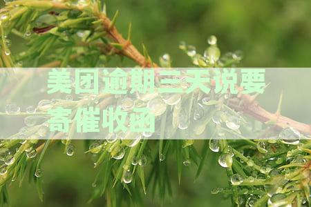美团逾期三天收到催收函，如何应对及可能的后果？