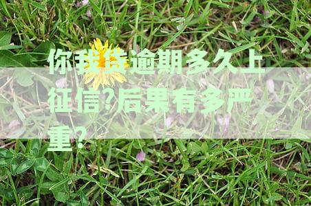 新你我贷逾期还款时间及信用记录影响，多久上征信后果有多严重？