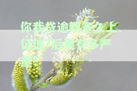 你我贷逾期多久会影响个人信用？如何解决逾期问题并恢复征信？