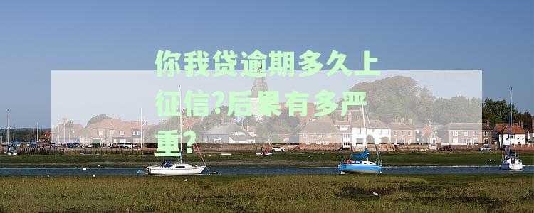 你我贷逾期多久会被起诉？如何应对？真还不上怎么办？会有什么后果？
