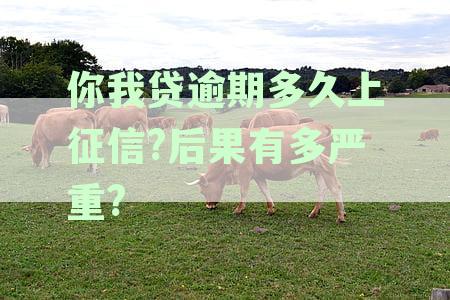 逾期还款是否会上征信？你我贷逾期对信用的影响及如何解决方法全面解析