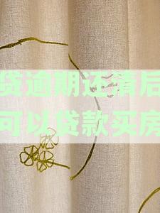 '网贷逾期还清后多久能贷款买房：解决您的疑问'