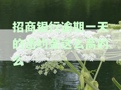 招商银行逾期还款违约金计算方法及具体数额，如何避免逾期产生高额罚息？