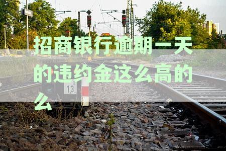招商银行信用卡逾期一天是否会影响征信记录？