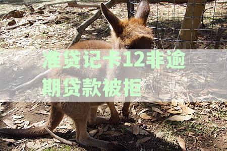 全面解析准贷记卡12:正常信用记录、申请条件与使用攻略