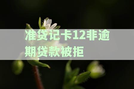 信用不佳？新关键词提升您的准贷记卡贷款成功率