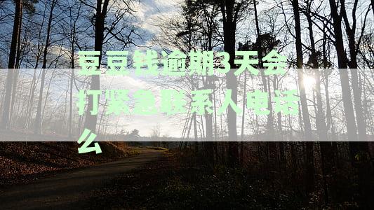 豆豆钱逾期两天：是否会联系紧急联系人？
