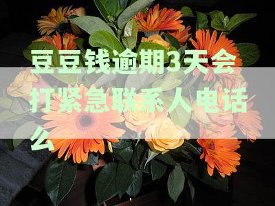 豆豆钱逾期几天会给紧急联系人打电话我爱卡-豆豆钱逾期几天会给紧急联系人打电话2021