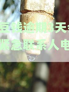豆豆借款逾期第三天，何时联系紧急联系人进行还款？