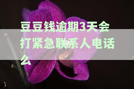 豆豆钱逾期3天会打紧急联系人电话么