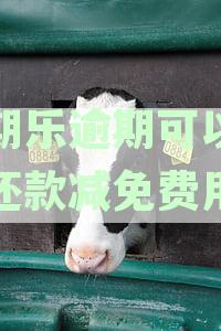 分期乐逾期后如何进行二次分期协商：详细步骤与解答