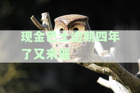 逾期四年未还款的巴士现金问题，如何应对催收？