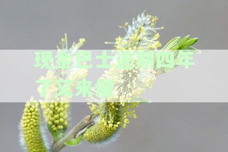 现金巴士逾期后多久会联系借款人？逾期通知方式及时间全面解析