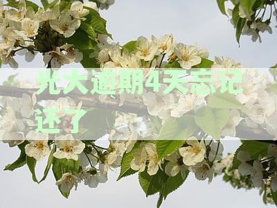 光大逾期4天忘记还了产生多少罚息和利息？