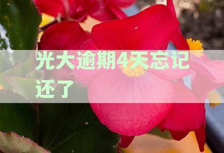 光大逾期4天忘记还了