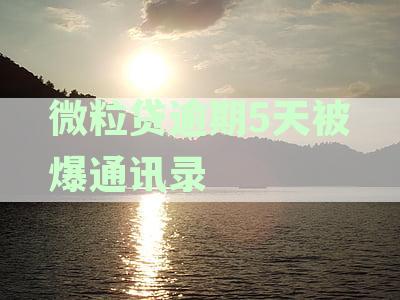 微粒贷逾期5天遭遇通讯录曝光：如何解决这一问题？