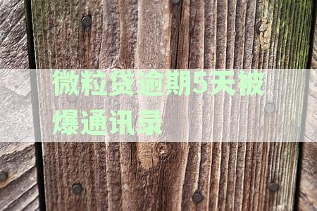 微粒贷逾期两天还了部分，爆我的通讯录：惊人经历揭示真相！