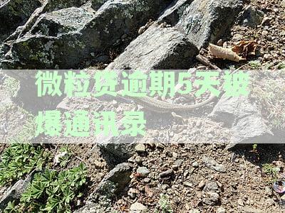 微粒贷逾期一周：如何应对催收和保护通讯录？